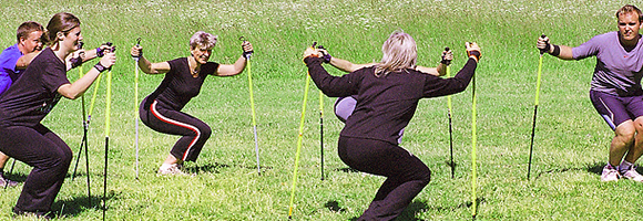 pole walking exercise